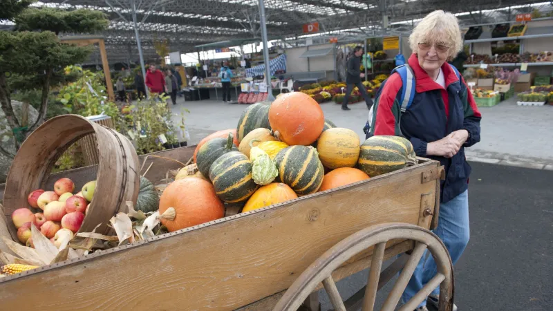 Dýně na kroměřížském veletrhu