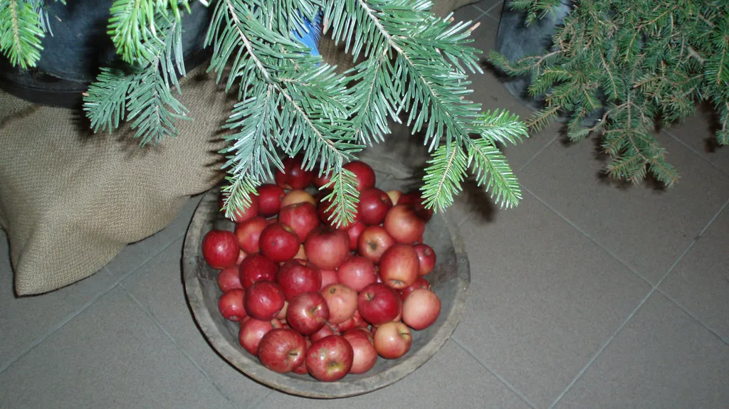 Výstava Tradice Českých Vánoc