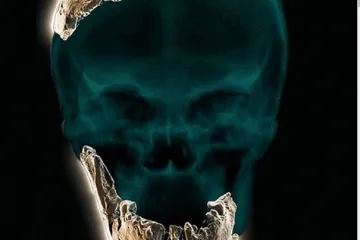 V Izraeli objevili neznámý druh předka člověka. Homo Nešer Ramla byl podobný neandrtálcům