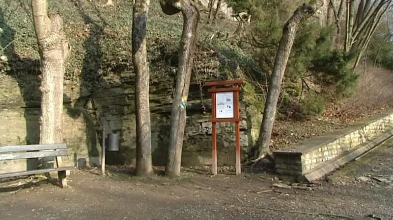 Bouři nevole vyvolalo v Opočně na Rychnovsku rozhodnutí památkářů uzavírat na zimu rozsáhlý park tamního zámku.