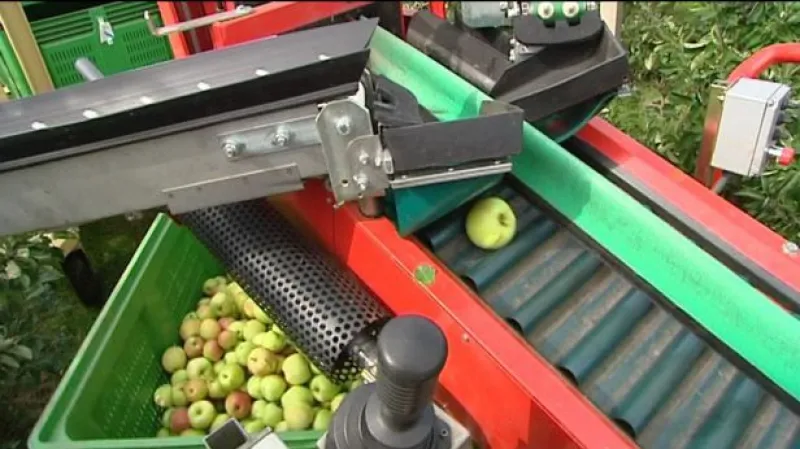 Reportáž Veroniky Markové