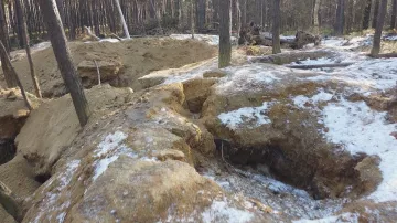 Les poškozený kopáním vltavínů