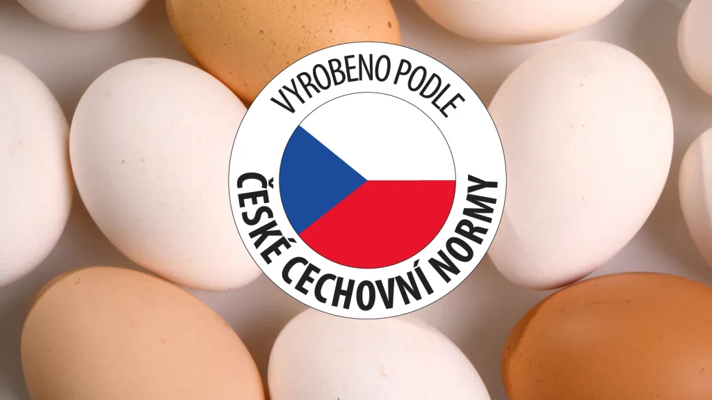 České cechovní normy