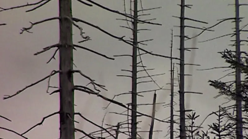 Takto vypadaly Krušné hory počátkem osmdesátých let