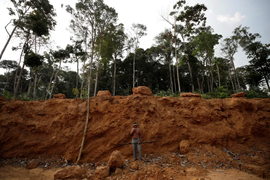 Raimundo Praia Mura ukazuje, jak vypadá oblast, která je čerstvě odlesněná