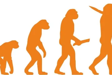 Evoluce ani periodická tabulka prvků. Indie škrtá z učebnic látku, zřejmě kvůli tlaku věřících