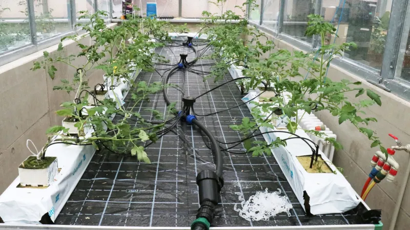 Hydroponický systém, na kterém vědci realizovali své experimenty