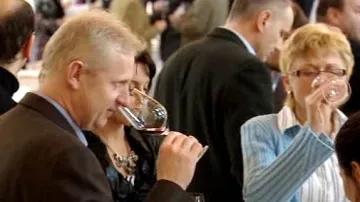 Degustace vín