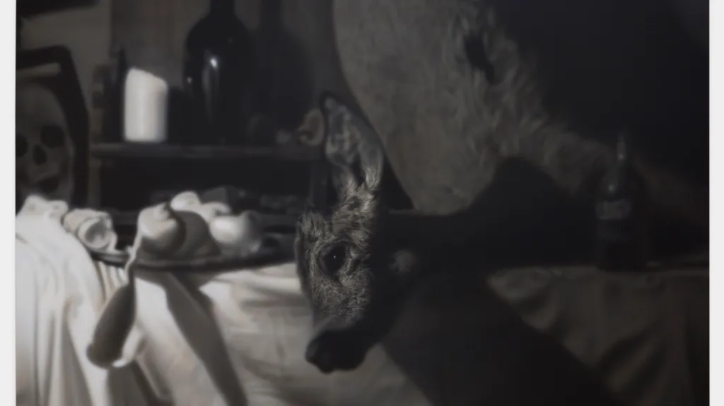 Hynek Martinec / Every Minute You Are Closer To Death, 2013