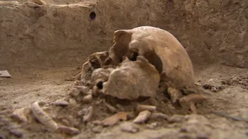 Komu patří kosterní pozůstatky?