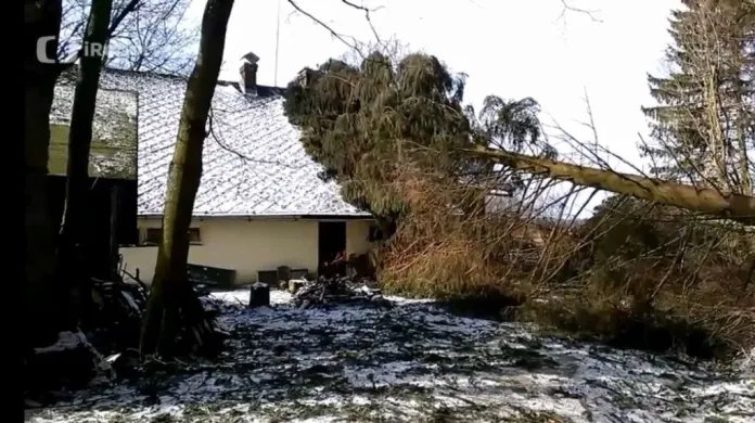 iReportér Josef Razek: Popadané stromy po větru v Kačerově v Orlických horách
