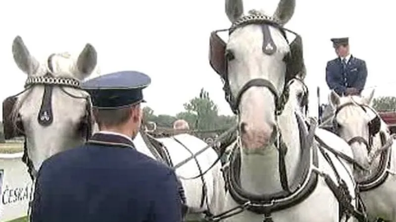 Zahájení pardubického festivalu Koně v akci 2008