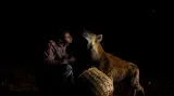 Abbas Yusuf (23 let), známý jako hyení muž, krmí svou ochočenou hyenu na předměstí města Harar v Etiopii.
