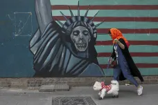 Teherán zakázal venčení psů na veřejnosti. Mít domácí mazlíčky je prozápadní, míní íránské úřady