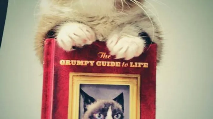 Grumpy cat pózuje s vlastní knihou