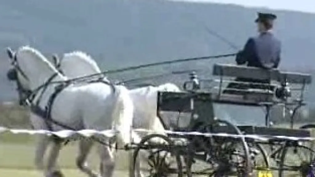 Koňské spřežení