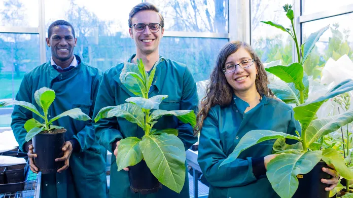 Vědci s upravenými rostlinami