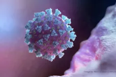 Pro koho představuje koronavirus největší hrozbu? Studie ukázaly na seniory, dětem se nemoc téměř vyhýbá
