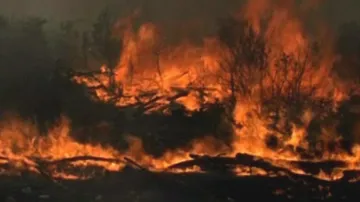 Požár na chorvatském ostrově Brać