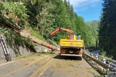 Po pádu stromu na auto v Krkonoších zemřeli tři lidé