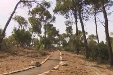 Češi v Izraeli obnovují les, který vznikl na počest Masaryka