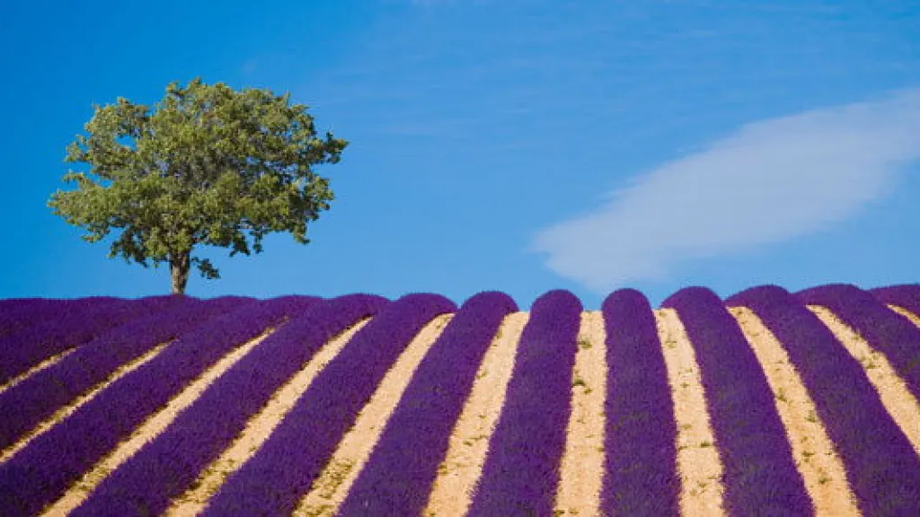 Provence