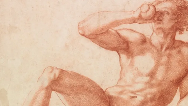 Giorgio Vasari / studie chlapce (detail, 1530/40)