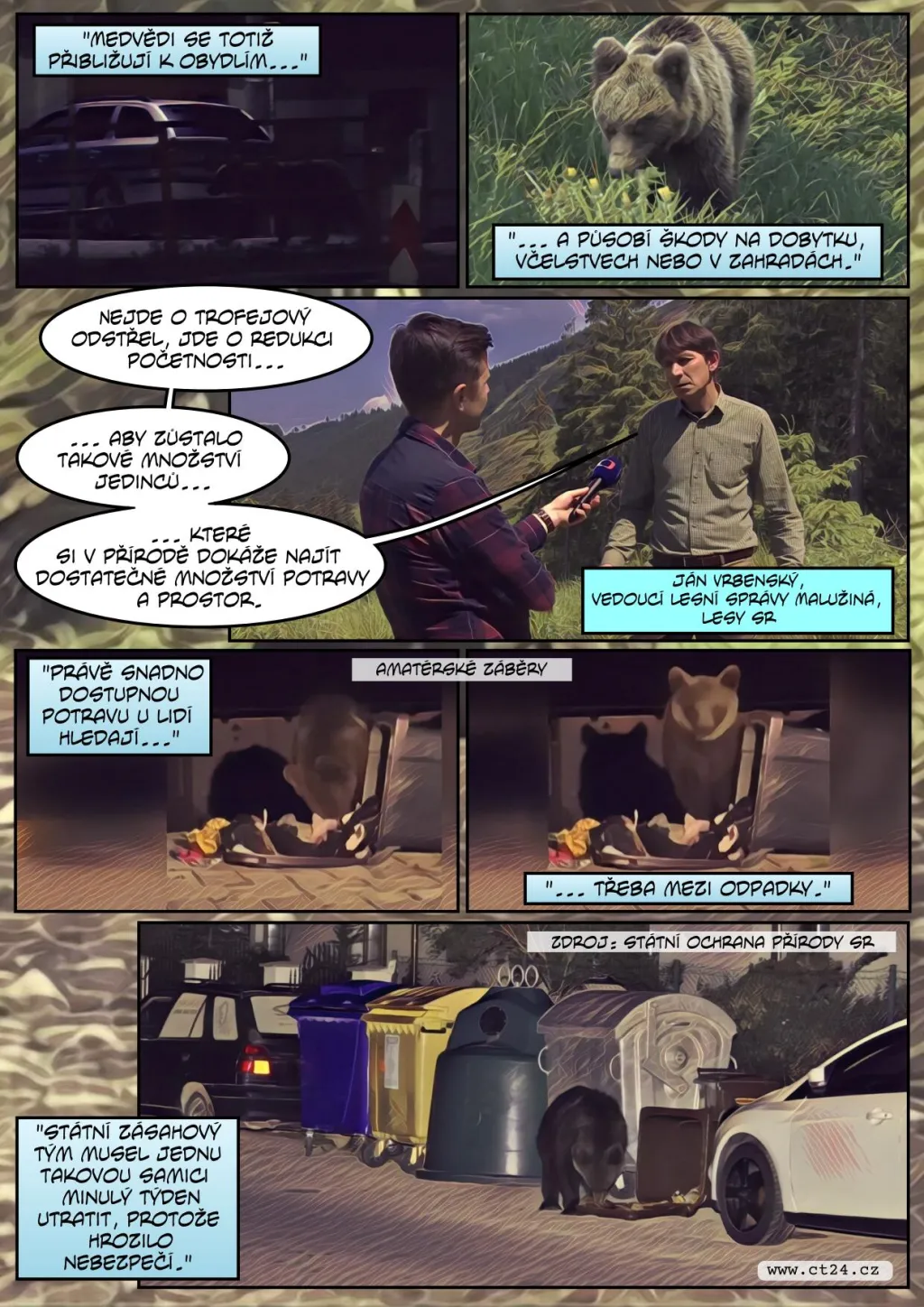 Medvědi na Slovensku