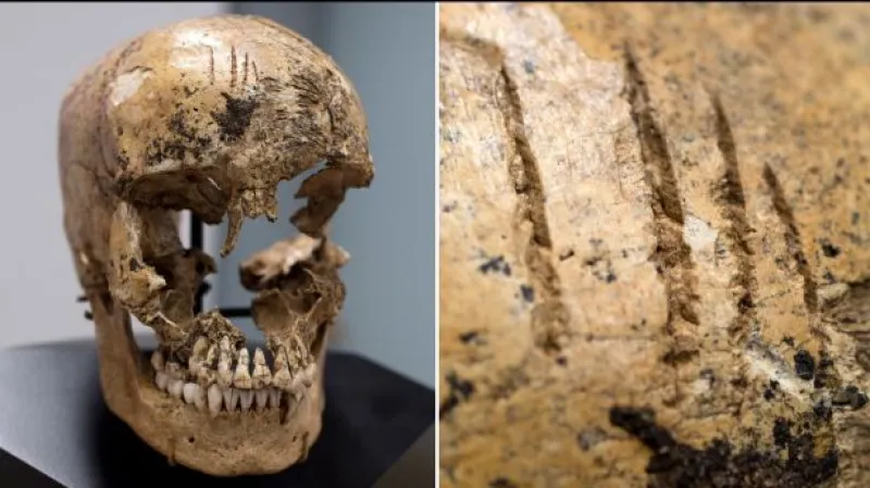 Kolonisté v Jamestownu se uchýlili ke kanibalismu