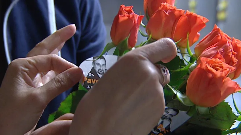 Kampaň před volbami do EP