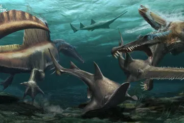 Největší dravý dinosaurus všech dob byl „říční monstrum“. Paleontologové popsali jeho způsob života
