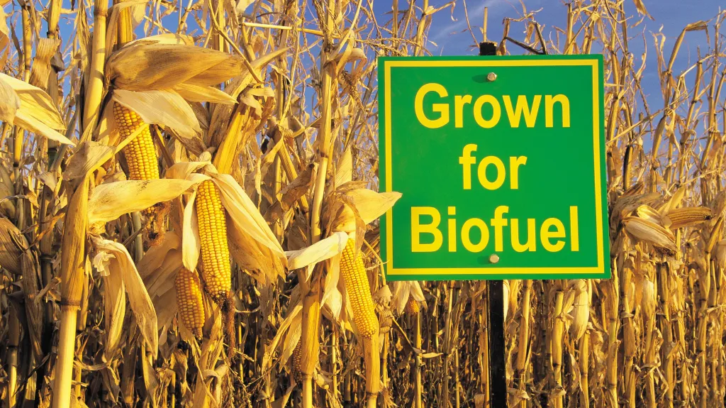 Kukuřičné biopalivo