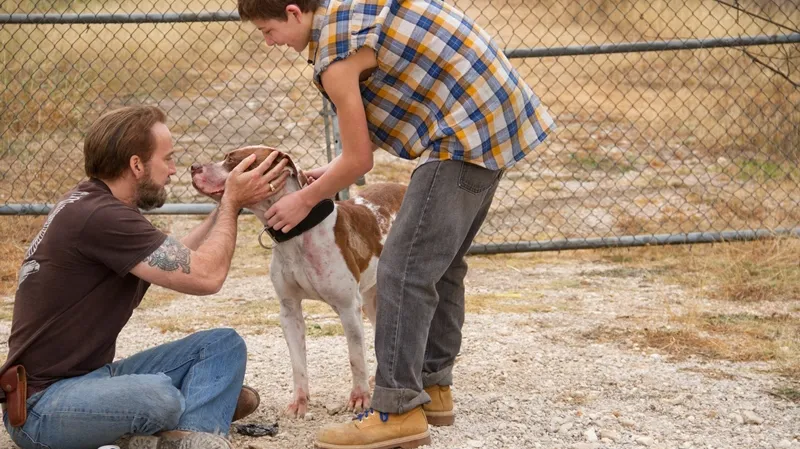 Joe / Nicolas Cage, Tye Sheridan