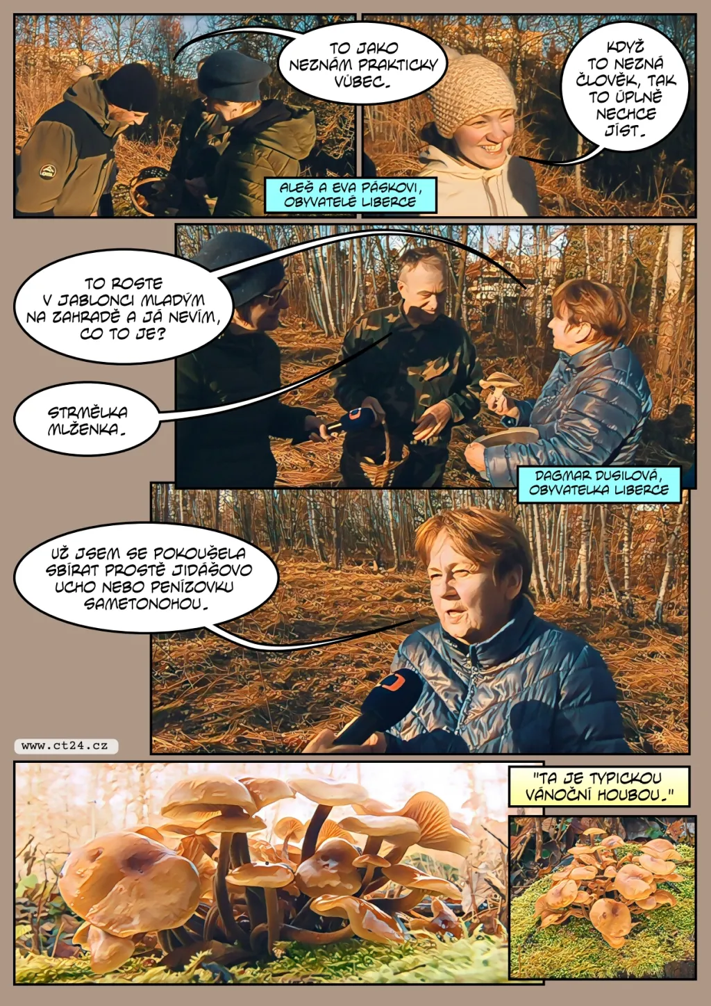 Díky počasí se letos zimním houbám daří