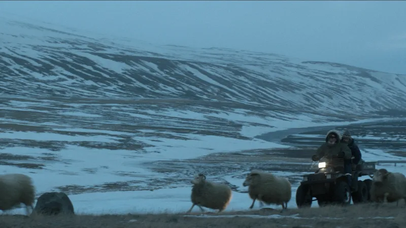 Berani (2015, režie: Grímur Hákonarson)