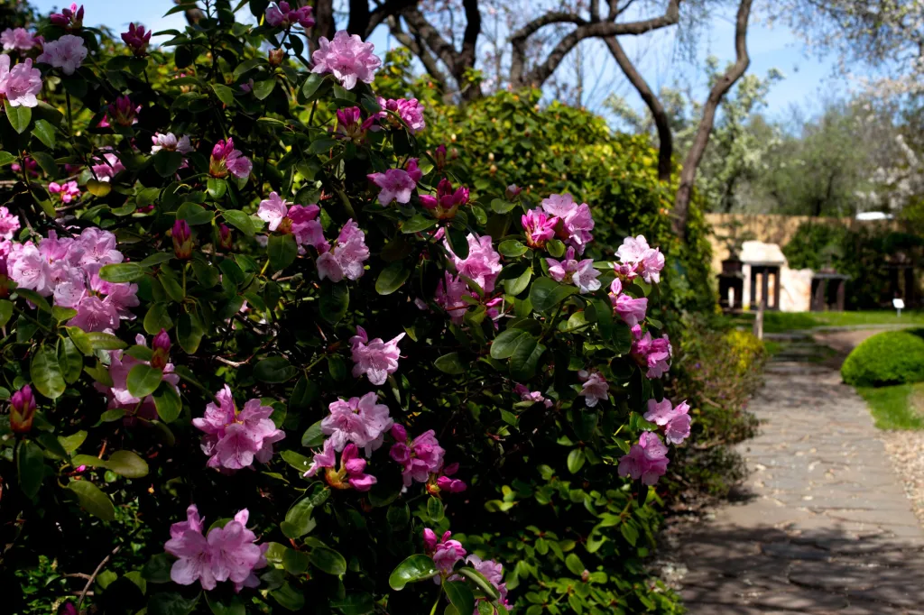 Na přípravách popisků se podílí specialisté z různých oborů, kteří zpravidla popis konzultují osobně. Kvůli nastalé situaci bylo ale konzultace nutné přesunout do on-line prostředí