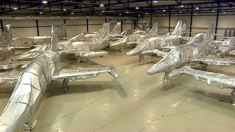 Reportáž Hany Vorlíčkové