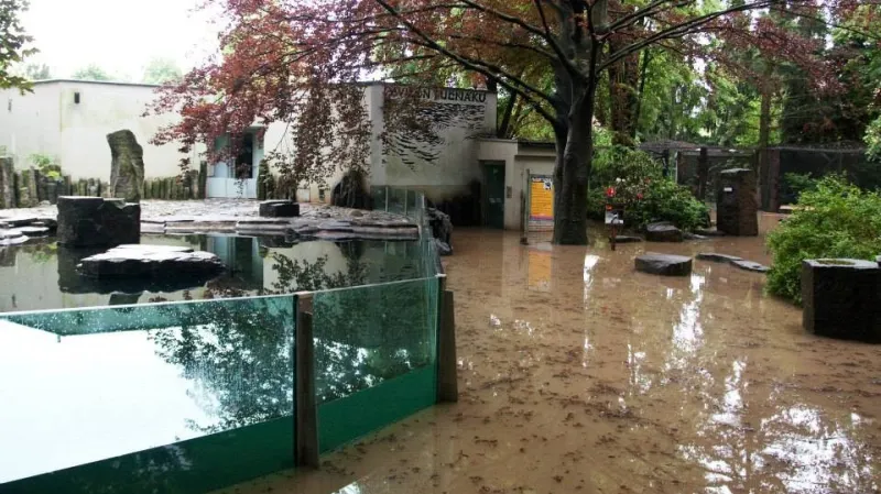 Evakuovaný pavilon tučňáků