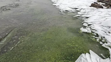 Zelený led na Lipně