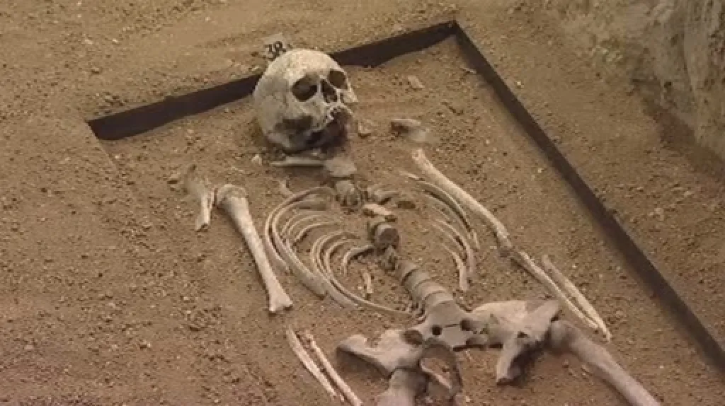 Kosterní pozůstatky