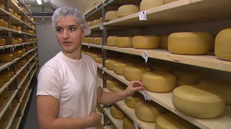 Vyhláška uleví malým podnikatelům v potravinářství