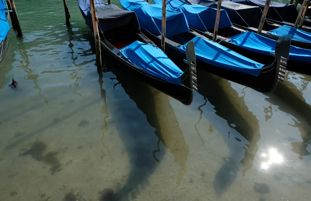 Dlouhodobá karanténa italských měst začíná ukazovat i pozitiva. Poté, co benátské kanály opustily turistické lodě, se voda ve městě začala postupně pročišťovat