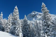 Sněhu už je dost i na lyžování. Kam je nejlepší vyrazit na běžky?