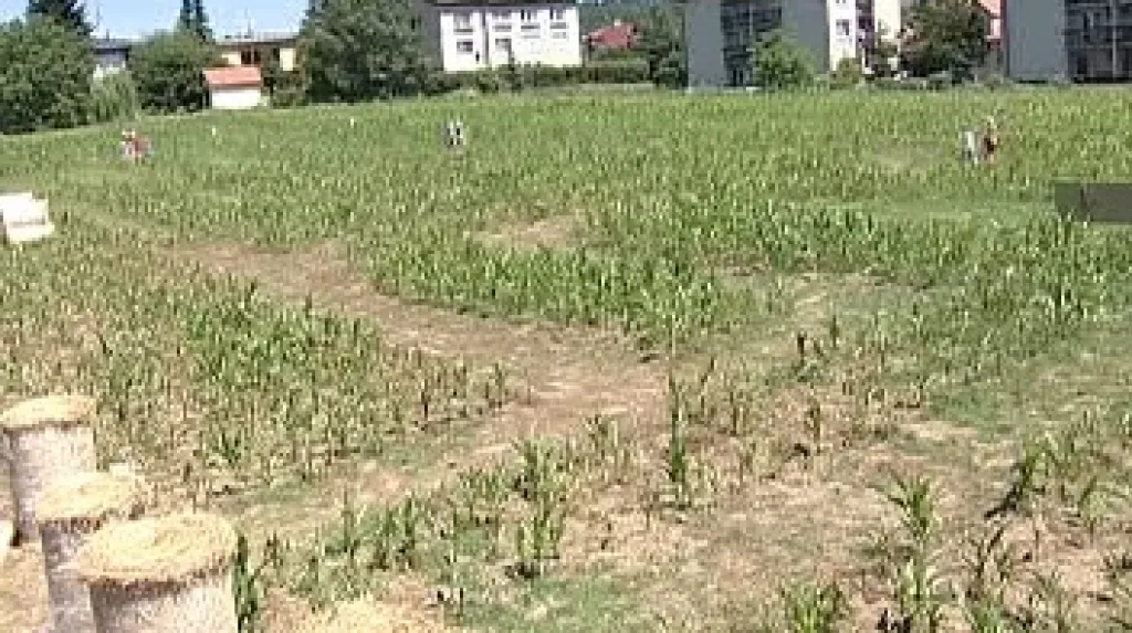 Bludiště v Rudolfově