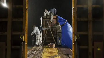 Vykládání přepravních boxů se slonicemi z letadla na Letišti Václava Havla