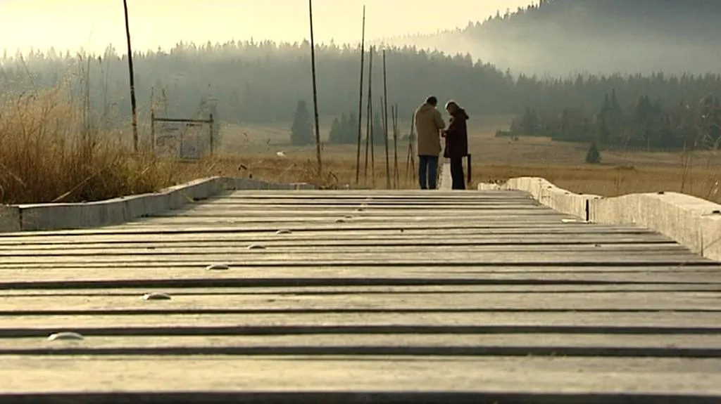 Božídarské rašeliniště