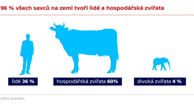 96 % všech savců na zemi tvoří lidé a hospodářská zvířata