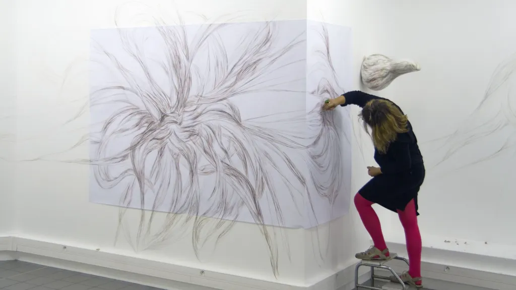 Filomena Borecká / Re-liance, 2010