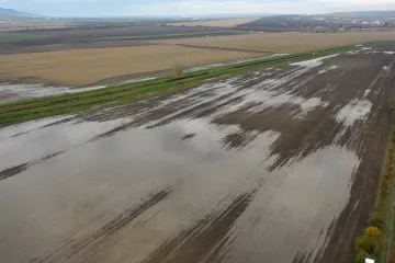 Deštivé počasí brzdí práce v zemědělství. Podmáčená pole nedovolují sít ozimy ani sklízet kukuřici