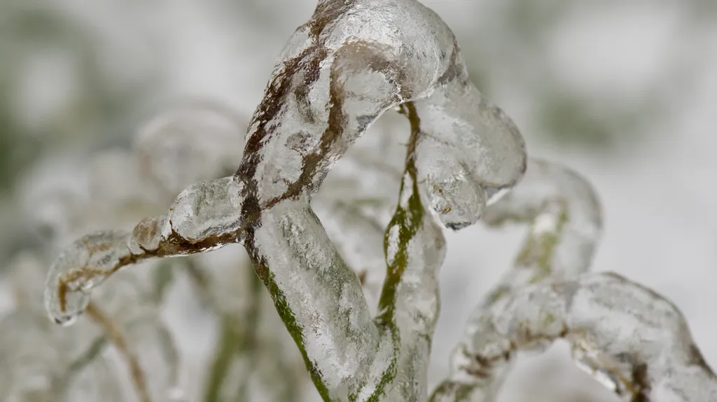 Česko pokryla ledovka
